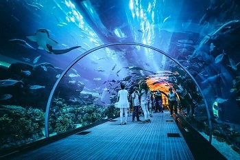 Dubai Aquarium And Underwater Zoo