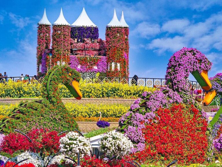 Dubai Miracle Garden Ticket Price And Timings