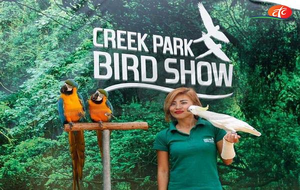 creek park bird show