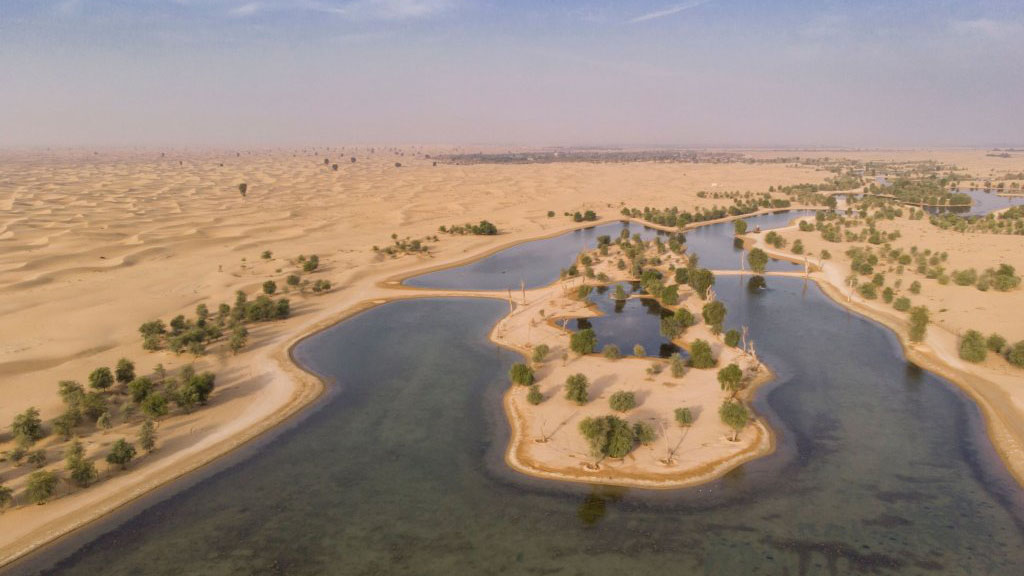 Dubai Al Qudra Lake Site Seen