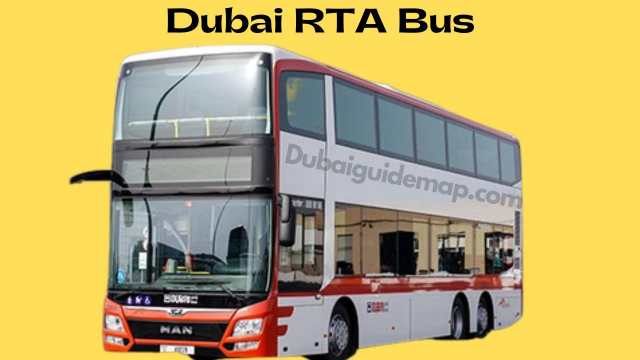 Dubai To Sharjah Bus