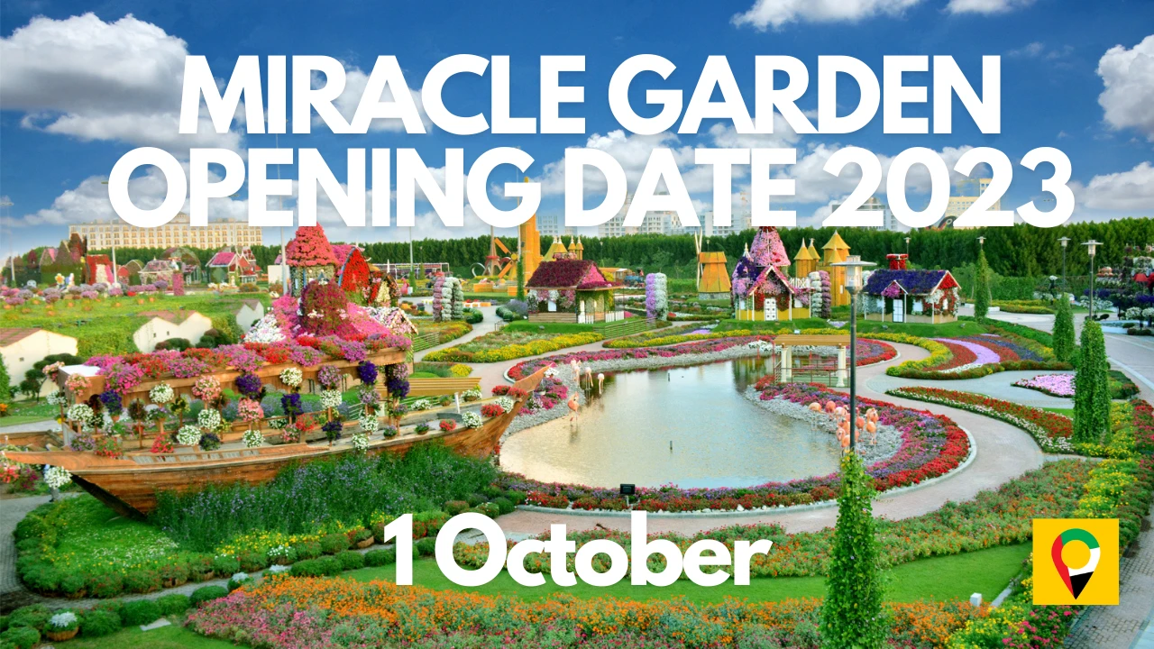 Read more about the article Miracle Garden Opening