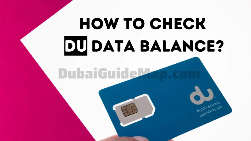 How To Check Du Data Balance