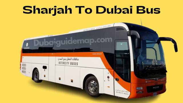 Sharjah To Dubai Bus Timings